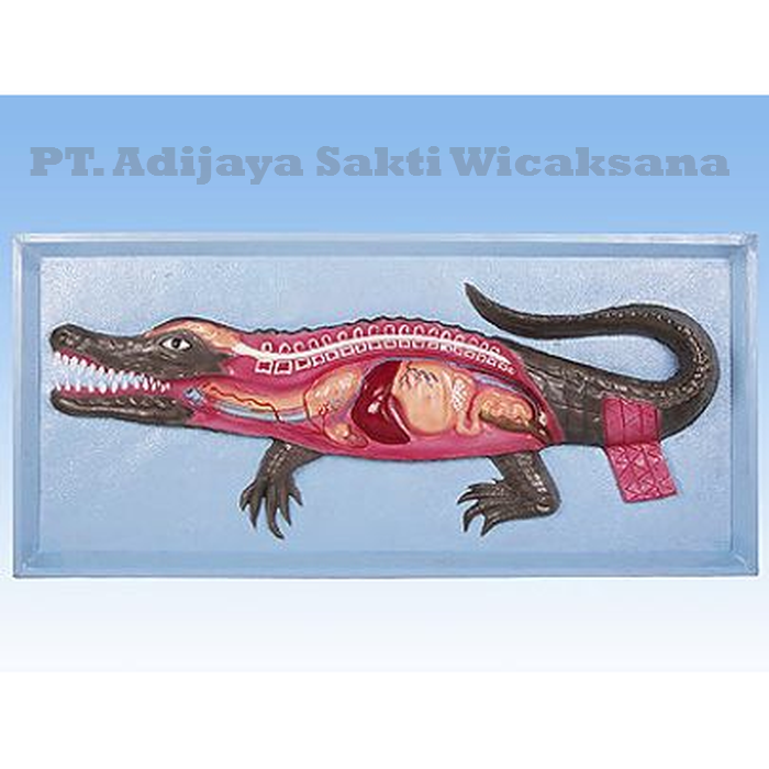 SIPLah Telkom Belanja Keperluan Sekolah Online Makin Mudah